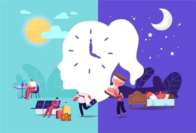Am I A Morning Person Or A Night Owl?