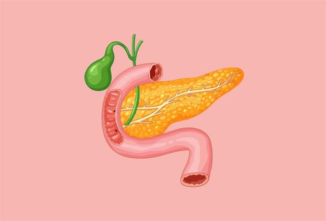 How Good Is My Pancreatic Health?