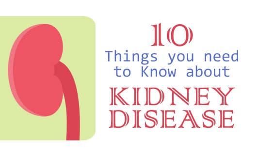 10 things you should know about kidney disease