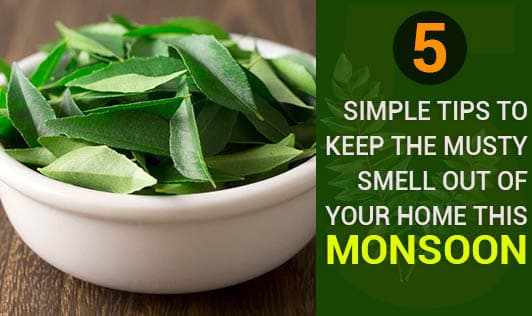 5 Simple Tips to Keep the Musty Smell Out of Your Home This Monsoon