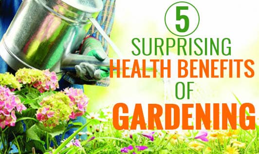 5 Surprising health benefits of gardening