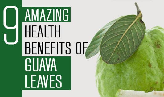 9 Amazing Health Benefits of Guava Leaves