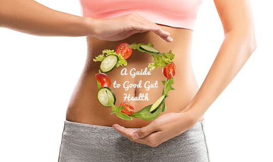 A Guide To Good Gut Health