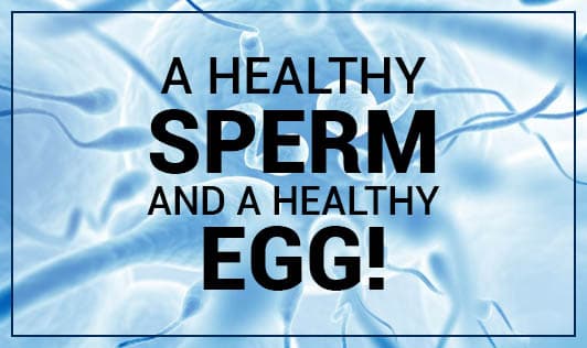 A healthy sperm and a healthy egg!