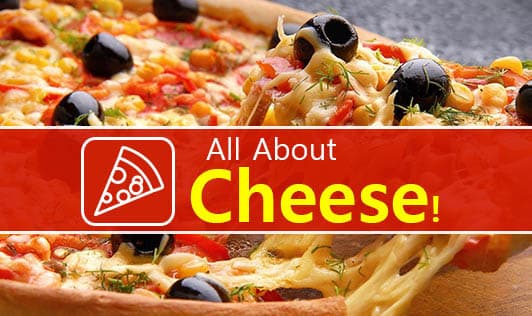 All About Cheese!