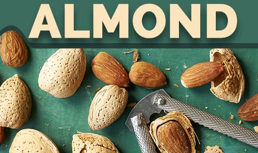 Almond