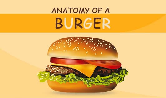 Anatomy of a burger