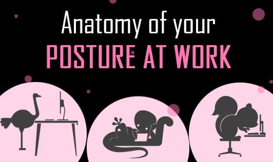 Anatomy of your posture at work