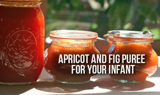 Apricot And Fig Puree For Your Infant