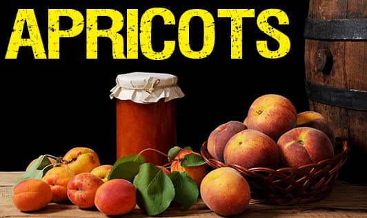 Apricots