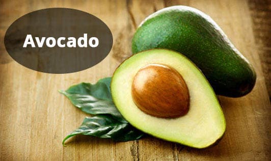 Avocado