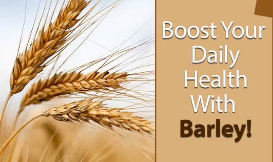 Boost Your Daily Health With Barley!