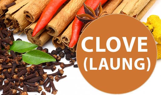 CLOVE (laung)