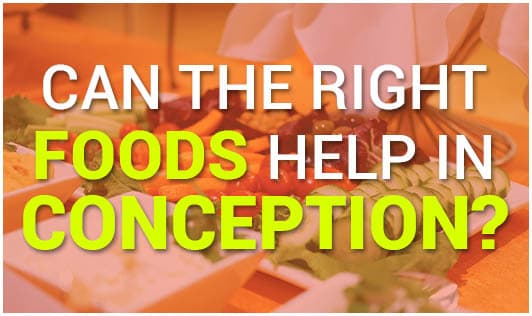 Can the right foods help in conception?