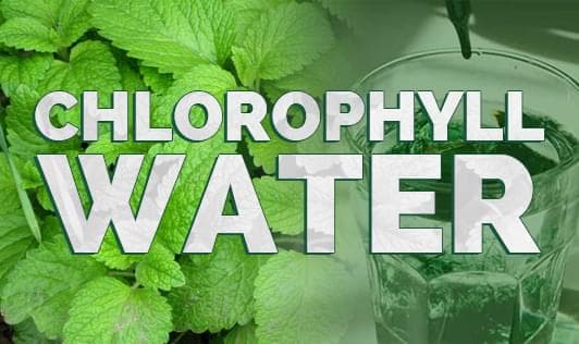 Chlorophyll water