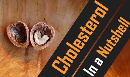 Cholesterol - In a Nutshell