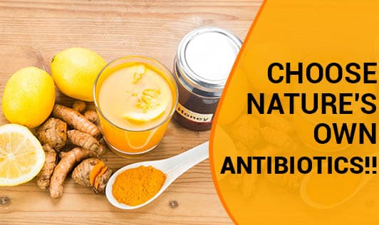Choose Nature's Own Antibiotics!!