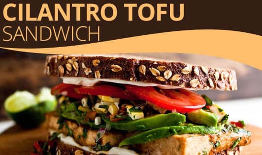 Cilantro Tofu Sandwich