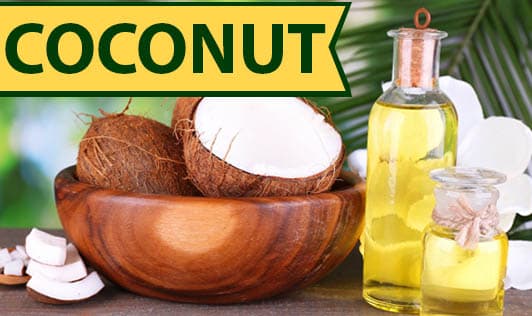 Coconut