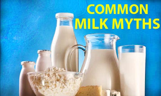 Common Milk Myths