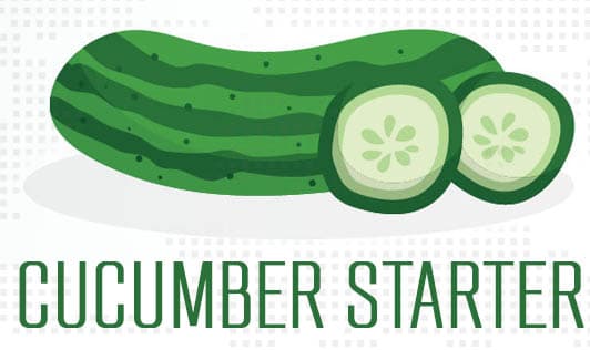 Cucumber Starter
