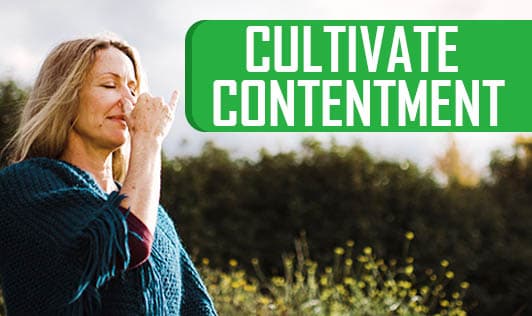 Cultivate Contentment