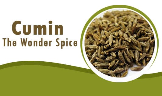 Cumin: The Wonder Spice
