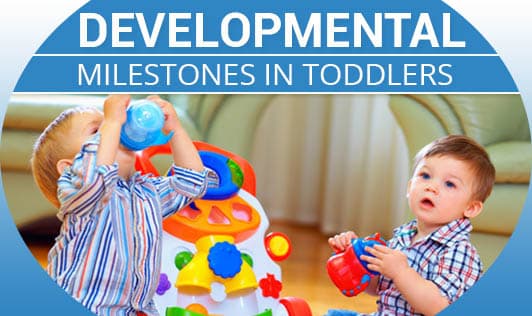 Developmental Milestones In Toddlers