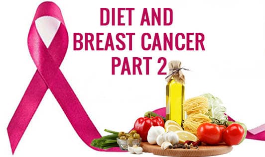 Diet and Breast Cancer- Part 2