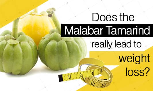 Does the Malabar Tamarind really lead to weight loss?