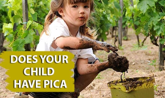 Does your child have Pica?