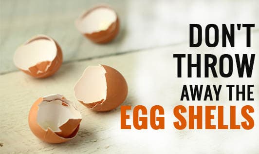 Don't Throw Away the Egg Shells