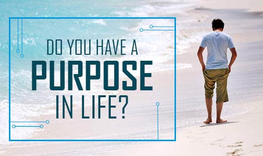 Do you have a purpose in life?