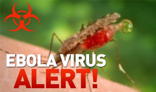 Ebola virus Alert!