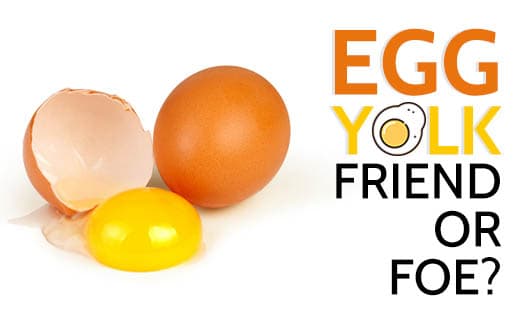 Egg Yolk - Friend or Foe?!