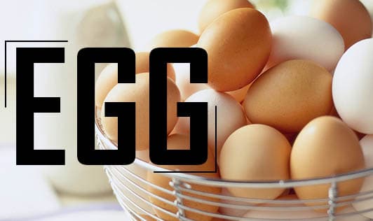 Egg