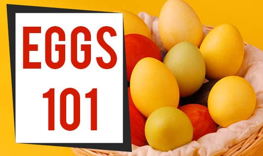 Eggs 101