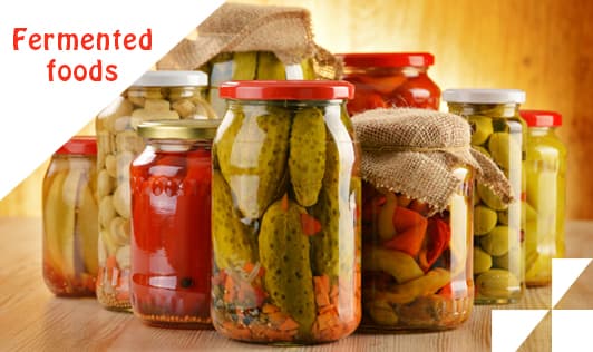 FERMENTED FOODS