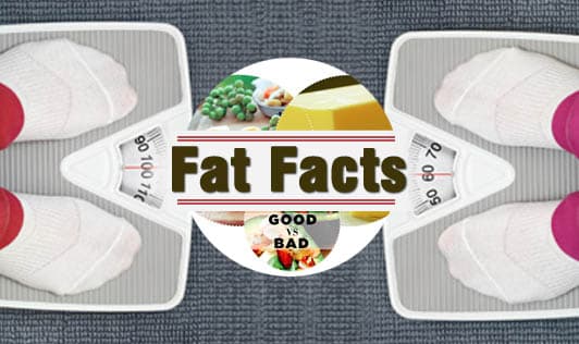 Fat Facts