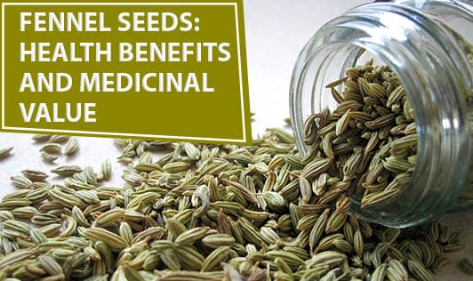 Fennel Seeds: Health Benefits and Medicinal value