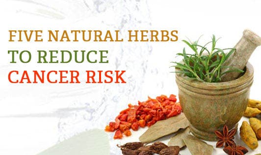 Five natural herbs to reduce cancer risk