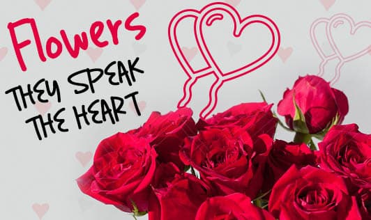 Flowers - They speak The Heart