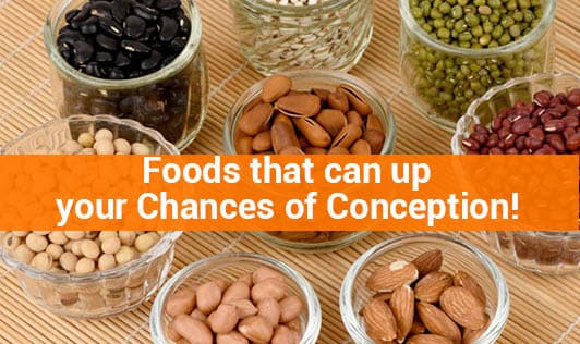 Foods that can up your Chances of Conception!
