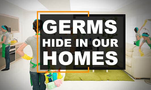 Germs Hide In Our Homes