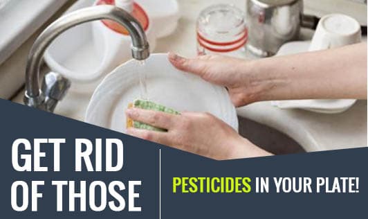 Get Rid Of Those Pesticides In Your Plate!