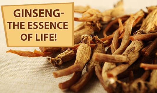 Ginseng:The Essence of Life!