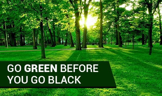 Go Green before you go Black
