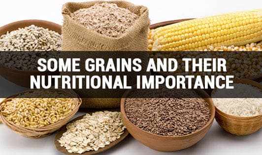 7 Must to Have Nutritional Grains to in Your Healthy diet