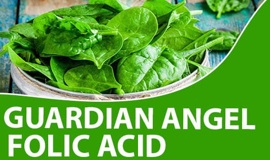 Guardian angel folic acid