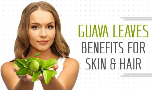 Guava Leaves: Benefits for Skin & Hair